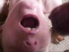 Slut can t live without dog goo in her face hole